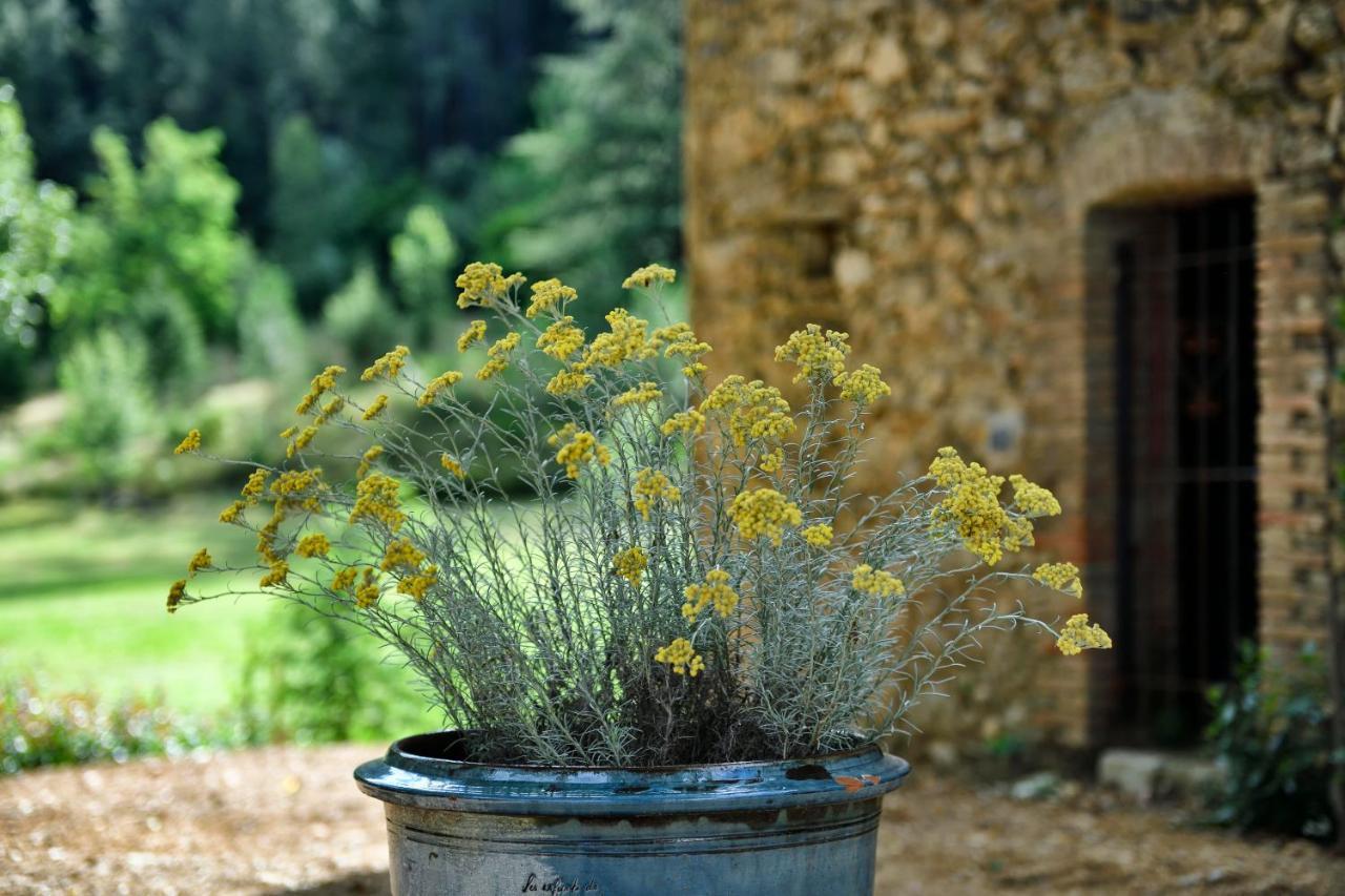 Les Jardins De Falguiere Saint-Jean-du-Gard Εξωτερικό φωτογραφία
