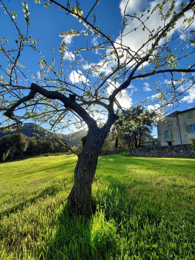 Les Jardins De Falguiere Saint-Jean-du-Gard Εξωτερικό φωτογραφία