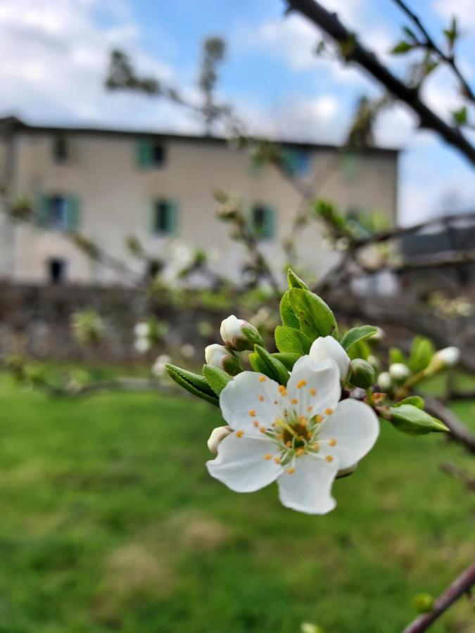 Les Jardins De Falguiere Saint-Jean-du-Gard Εξωτερικό φωτογραφία