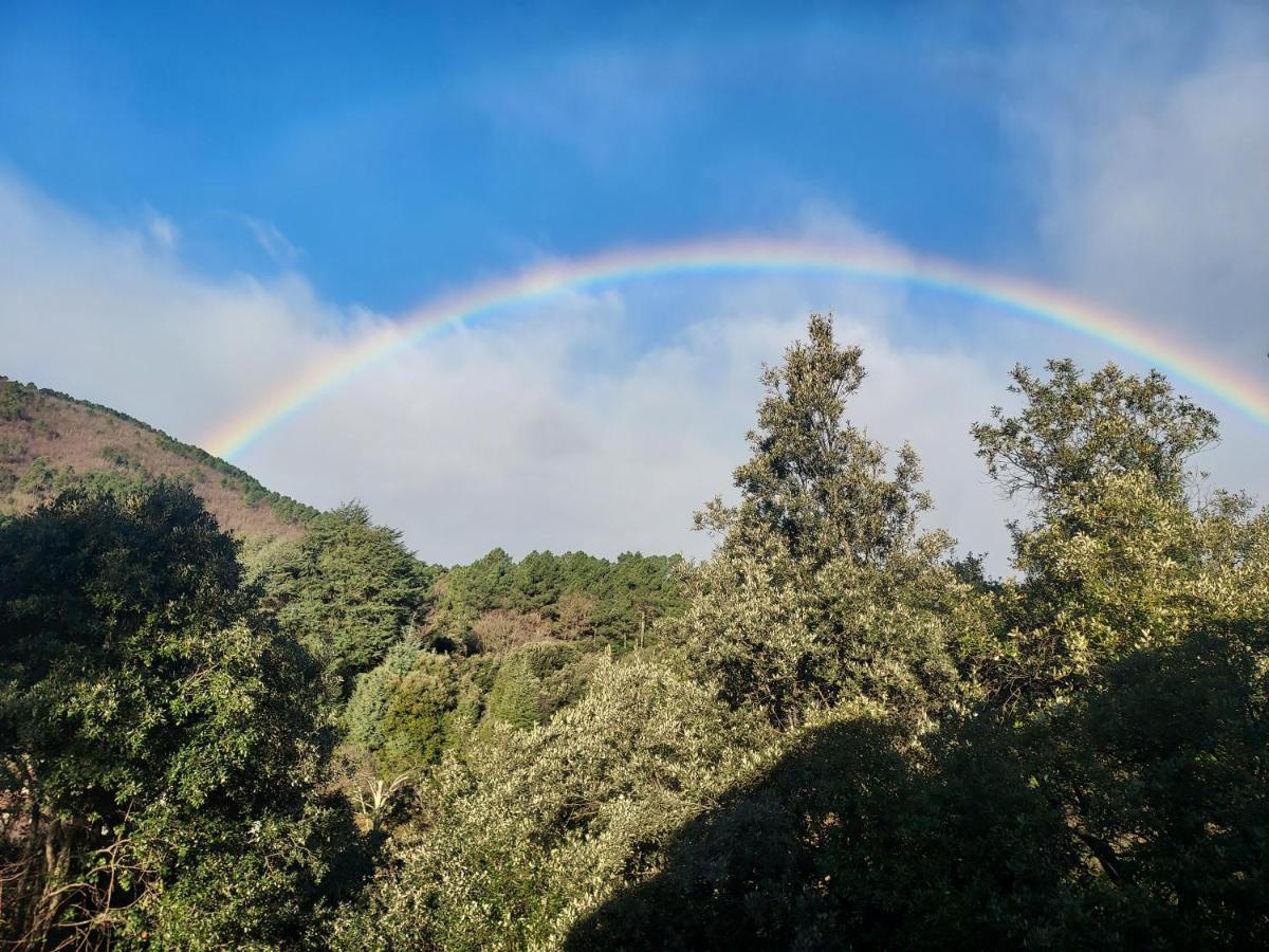 Les Jardins De Falguiere Saint-Jean-du-Gard Εξωτερικό φωτογραφία