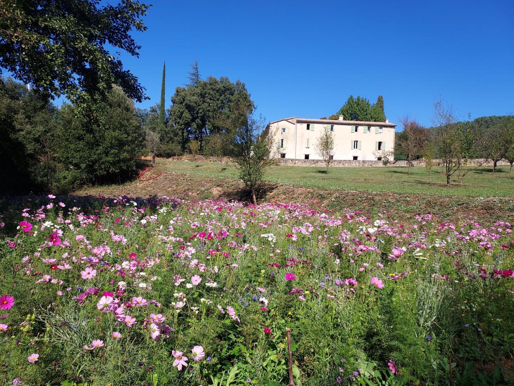 Les Jardins De Falguiere Saint-Jean-du-Gard Εξωτερικό φωτογραφία