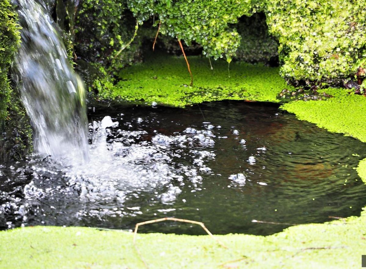 Les Jardins De Falguiere Saint-Jean-du-Gard Εξωτερικό φωτογραφία